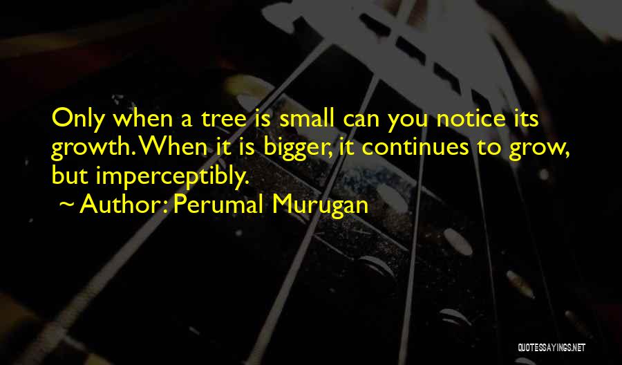 Perumal Murugan Quotes: Only When A Tree Is Small Can You Notice Its Growth. When It Is Bigger, It Continues To Grow, But