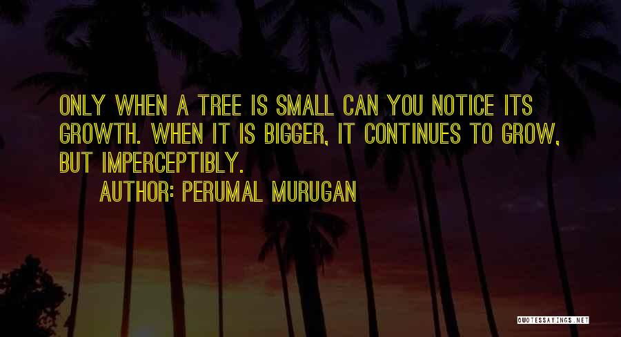 Perumal Murugan Quotes: Only When A Tree Is Small Can You Notice Its Growth. When It Is Bigger, It Continues To Grow, But