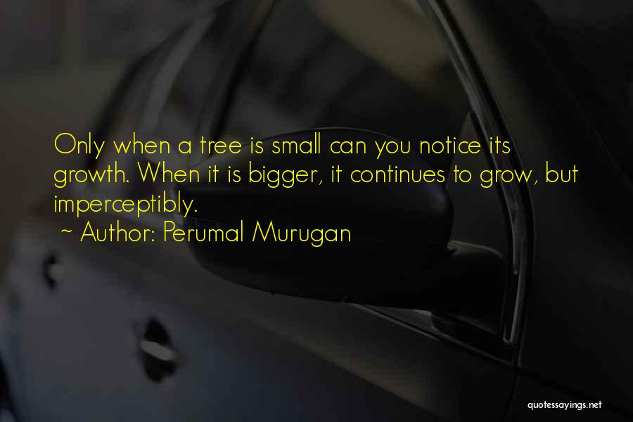 Perumal Murugan Quotes: Only When A Tree Is Small Can You Notice Its Growth. When It Is Bigger, It Continues To Grow, But