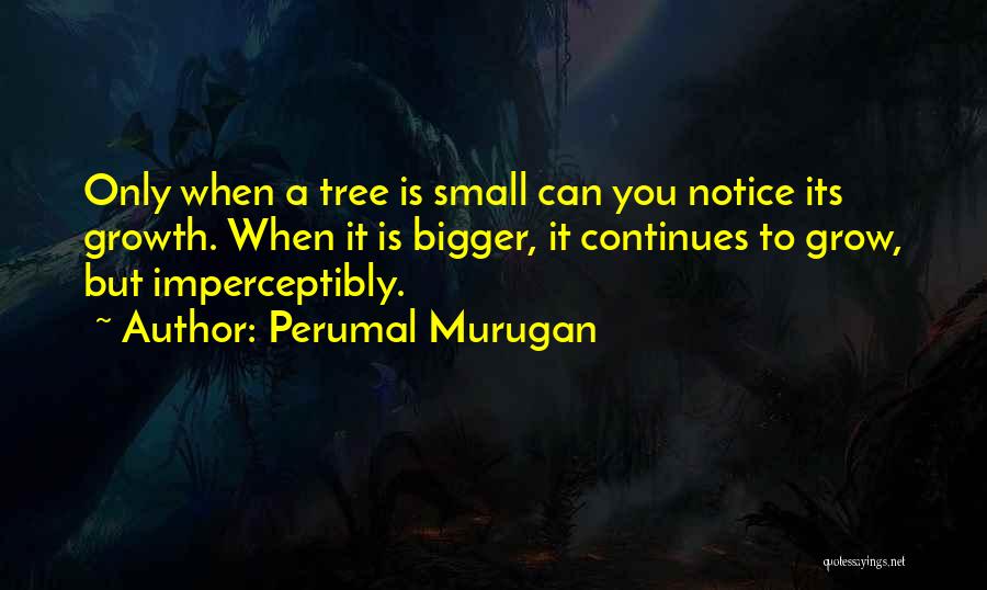 Perumal Murugan Quotes: Only When A Tree Is Small Can You Notice Its Growth. When It Is Bigger, It Continues To Grow, But