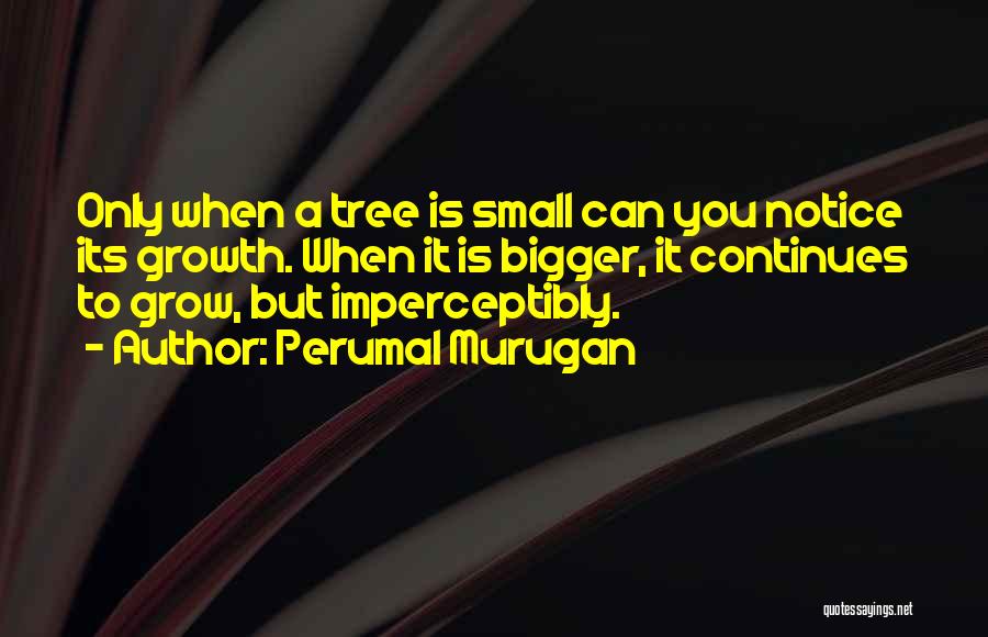 Perumal Murugan Quotes: Only When A Tree Is Small Can You Notice Its Growth. When It Is Bigger, It Continues To Grow, But