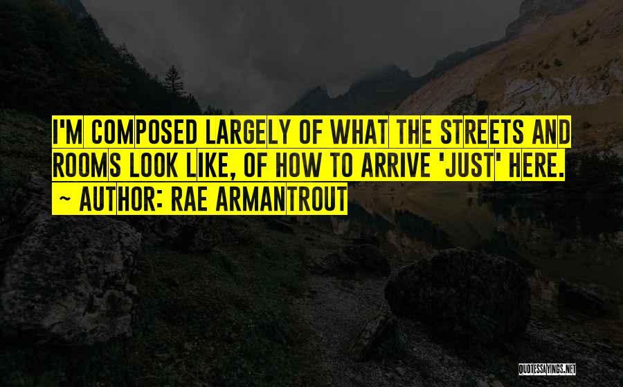 Rae Armantrout Quotes: I'm Composed Largely Of What The Streets And Rooms Look Like, Of How To Arrive 'just' Here.