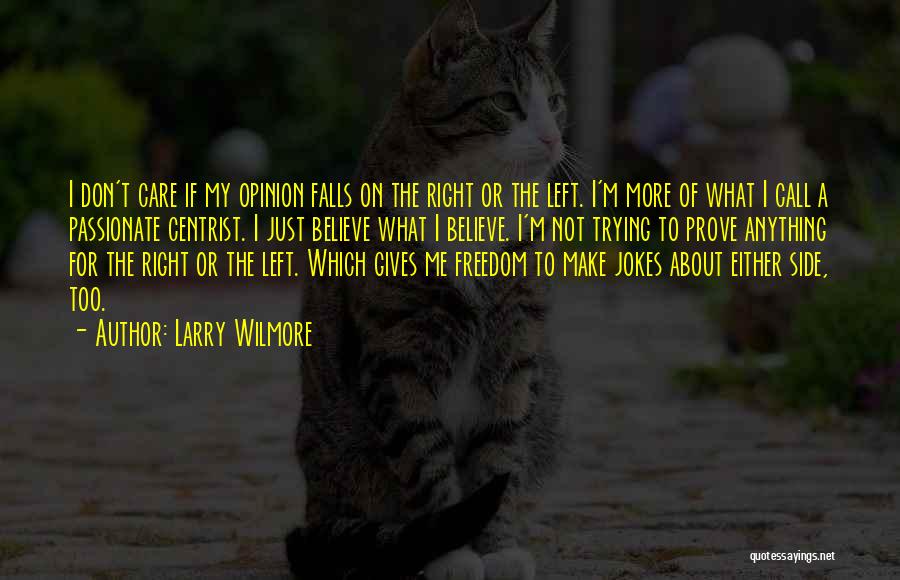 Larry Wilmore Quotes: I Don't Care If My Opinion Falls On The Right Or The Left. I'm More Of What I Call A