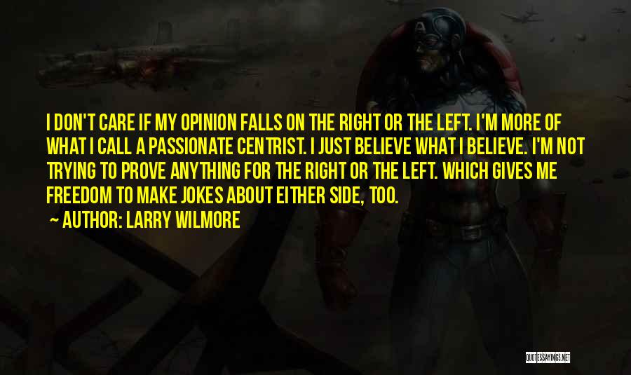 Larry Wilmore Quotes: I Don't Care If My Opinion Falls On The Right Or The Left. I'm More Of What I Call A