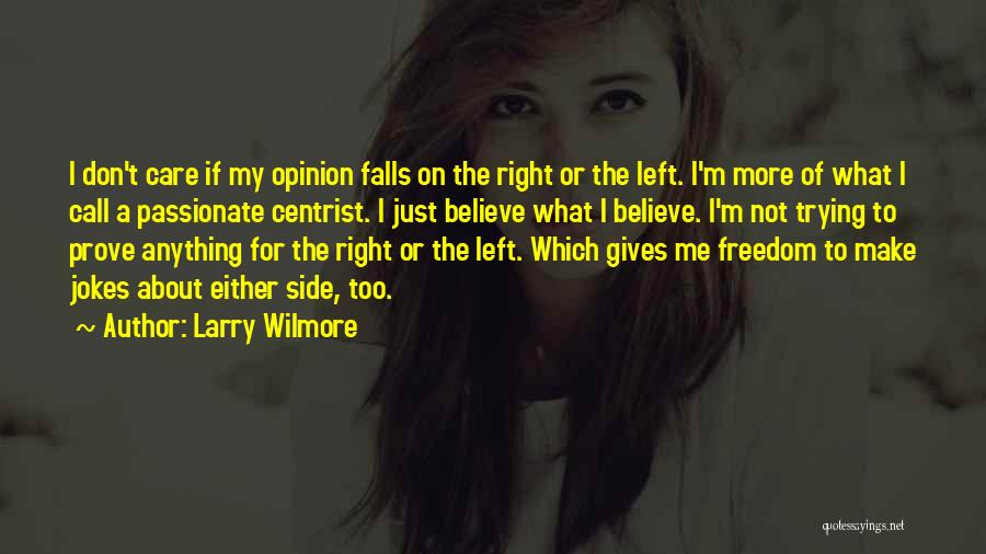 Larry Wilmore Quotes: I Don't Care If My Opinion Falls On The Right Or The Left. I'm More Of What I Call A