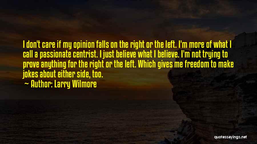 Larry Wilmore Quotes: I Don't Care If My Opinion Falls On The Right Or The Left. I'm More Of What I Call A