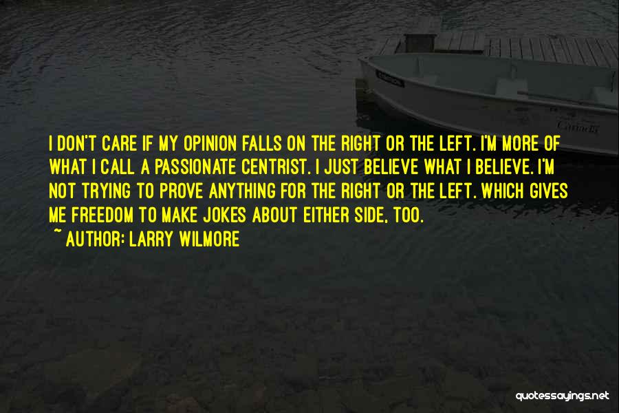 Larry Wilmore Quotes: I Don't Care If My Opinion Falls On The Right Or The Left. I'm More Of What I Call A