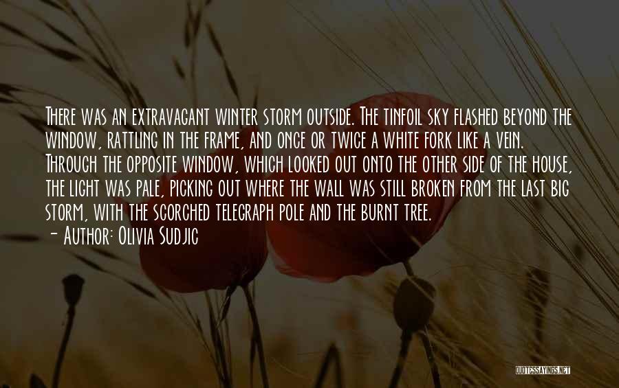 Olivia Sudjic Quotes: There Was An Extravagant Winter Storm Outside. The Tinfoil Sky Flashed Beyond The Window, Rattling In The Frame, And Once