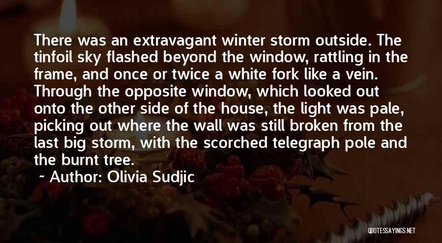 Olivia Sudjic Quotes: There Was An Extravagant Winter Storm Outside. The Tinfoil Sky Flashed Beyond The Window, Rattling In The Frame, And Once