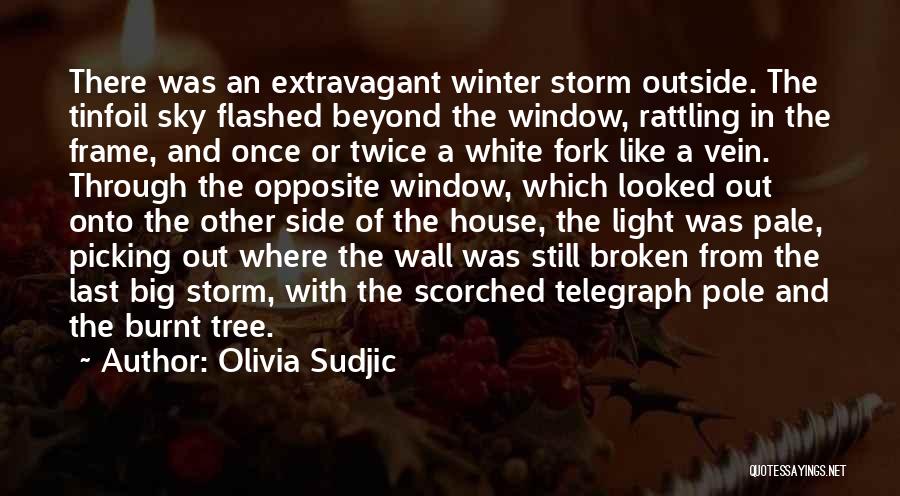 Olivia Sudjic Quotes: There Was An Extravagant Winter Storm Outside. The Tinfoil Sky Flashed Beyond The Window, Rattling In The Frame, And Once
