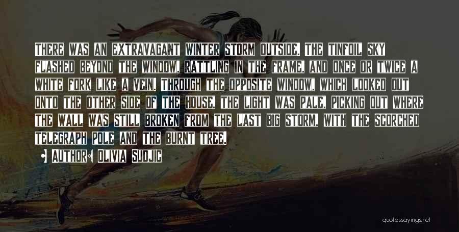 Olivia Sudjic Quotes: There Was An Extravagant Winter Storm Outside. The Tinfoil Sky Flashed Beyond The Window, Rattling In The Frame, And Once