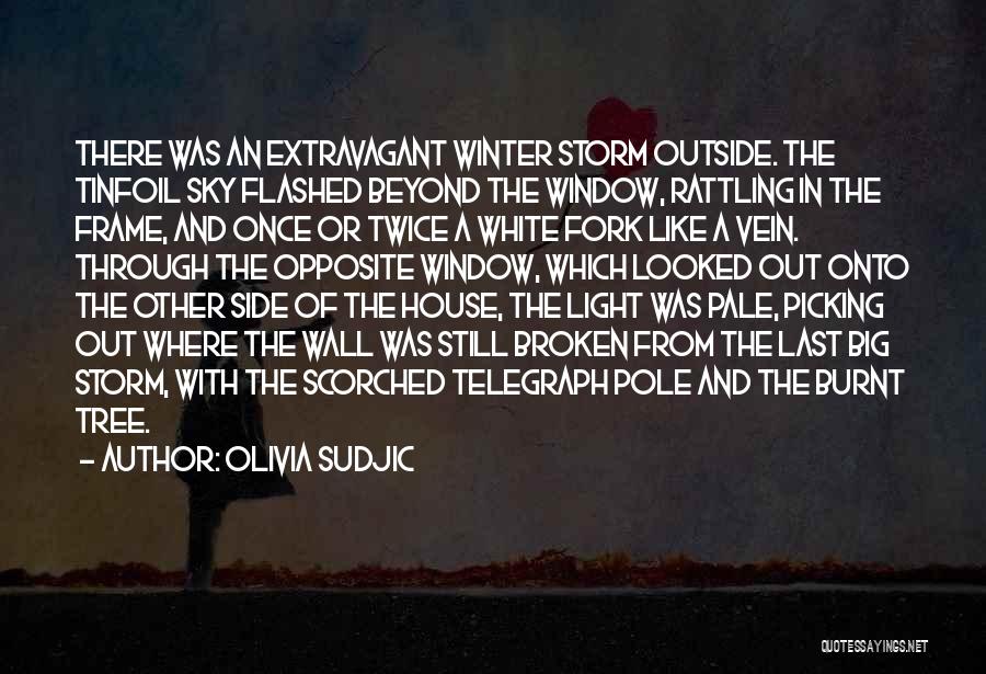 Olivia Sudjic Quotes: There Was An Extravagant Winter Storm Outside. The Tinfoil Sky Flashed Beyond The Window, Rattling In The Frame, And Once