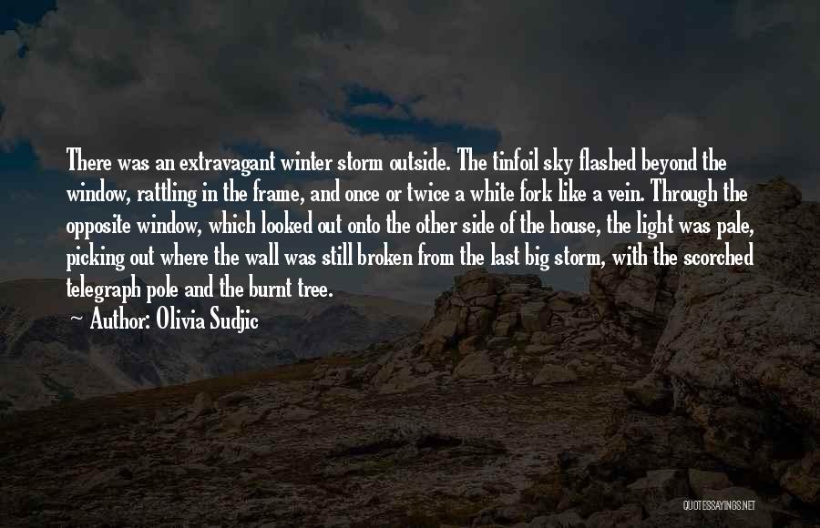 Olivia Sudjic Quotes: There Was An Extravagant Winter Storm Outside. The Tinfoil Sky Flashed Beyond The Window, Rattling In The Frame, And Once