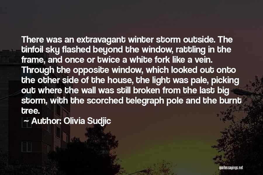 Olivia Sudjic Quotes: There Was An Extravagant Winter Storm Outside. The Tinfoil Sky Flashed Beyond The Window, Rattling In The Frame, And Once