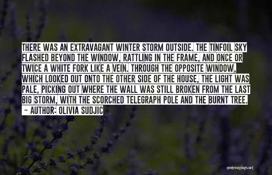 Olivia Sudjic Quotes: There Was An Extravagant Winter Storm Outside. The Tinfoil Sky Flashed Beyond The Window, Rattling In The Frame, And Once