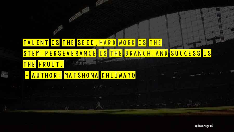 Matshona Dhliwayo Quotes: Talent Is The Seed,hard Work Is The Stem,perseverance Is The Branch,and Success Is The Fruit.