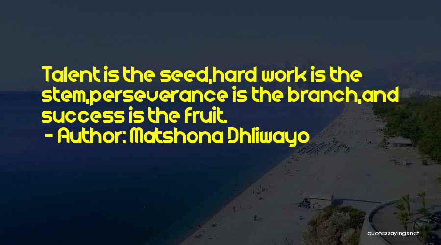 Matshona Dhliwayo Quotes: Talent Is The Seed,hard Work Is The Stem,perseverance Is The Branch,and Success Is The Fruit.