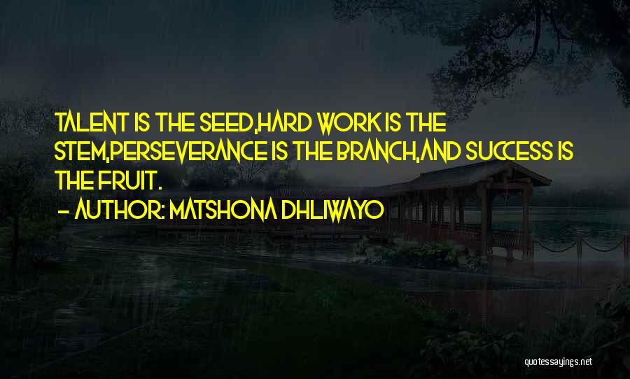 Matshona Dhliwayo Quotes: Talent Is The Seed,hard Work Is The Stem,perseverance Is The Branch,and Success Is The Fruit.