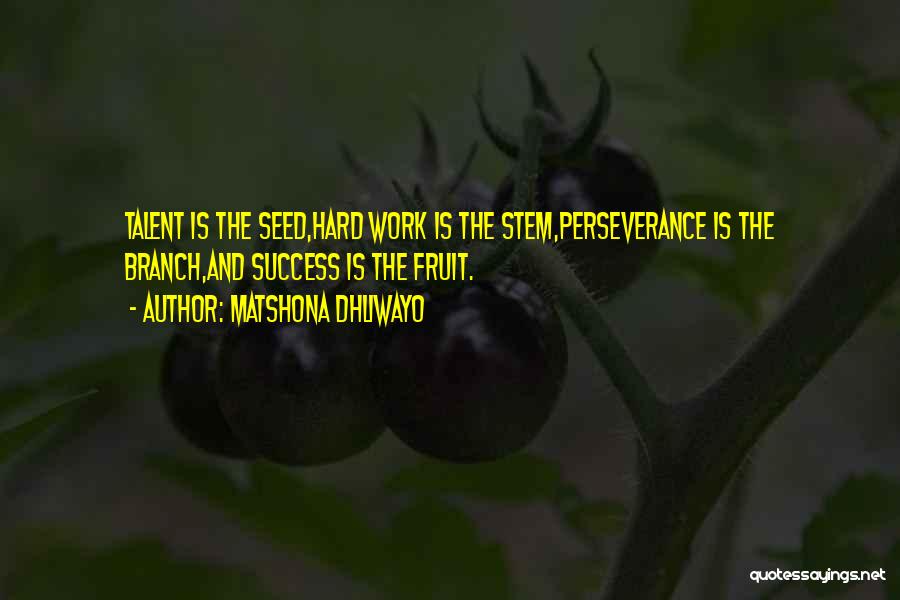 Matshona Dhliwayo Quotes: Talent Is The Seed,hard Work Is The Stem,perseverance Is The Branch,and Success Is The Fruit.