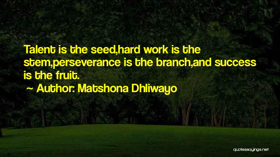 Matshona Dhliwayo Quotes: Talent Is The Seed,hard Work Is The Stem,perseverance Is The Branch,and Success Is The Fruit.