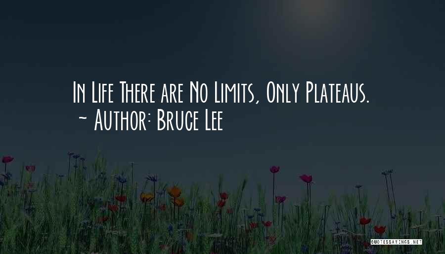 Bruce Lee Quotes: In Life There Are No Limits, Only Plateaus.