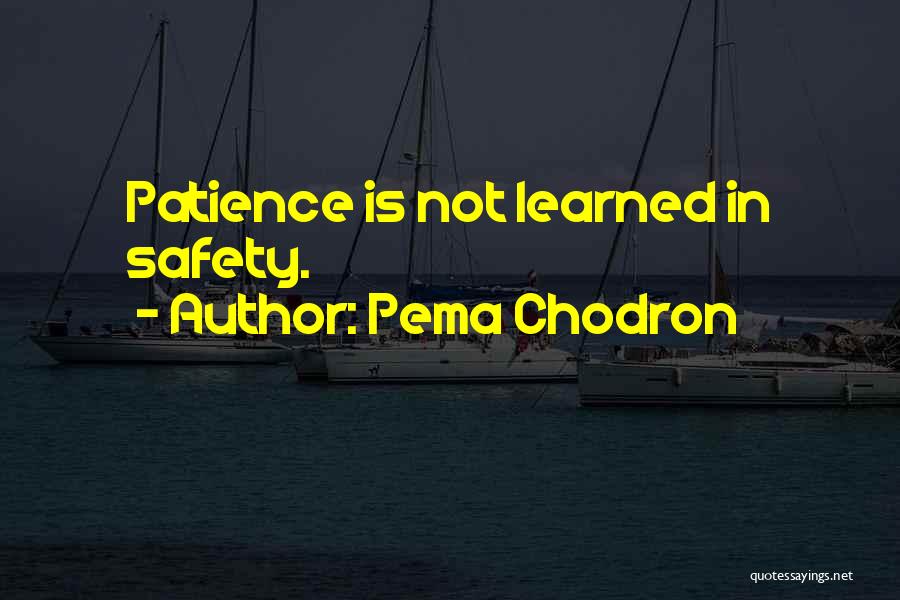 Pema Chodron Quotes: Patience Is Not Learned In Safety.