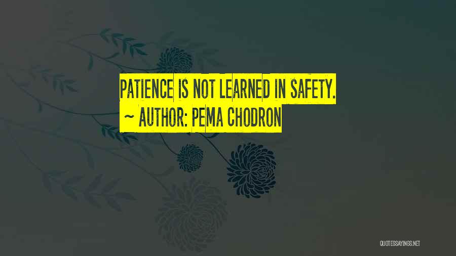 Pema Chodron Quotes: Patience Is Not Learned In Safety.