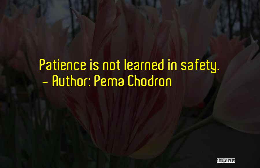 Pema Chodron Quotes: Patience Is Not Learned In Safety.