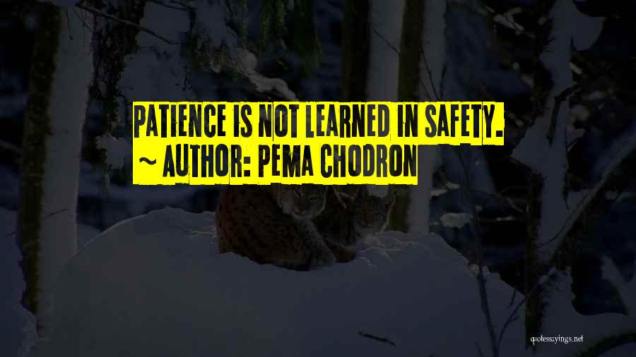 Pema Chodron Quotes: Patience Is Not Learned In Safety.