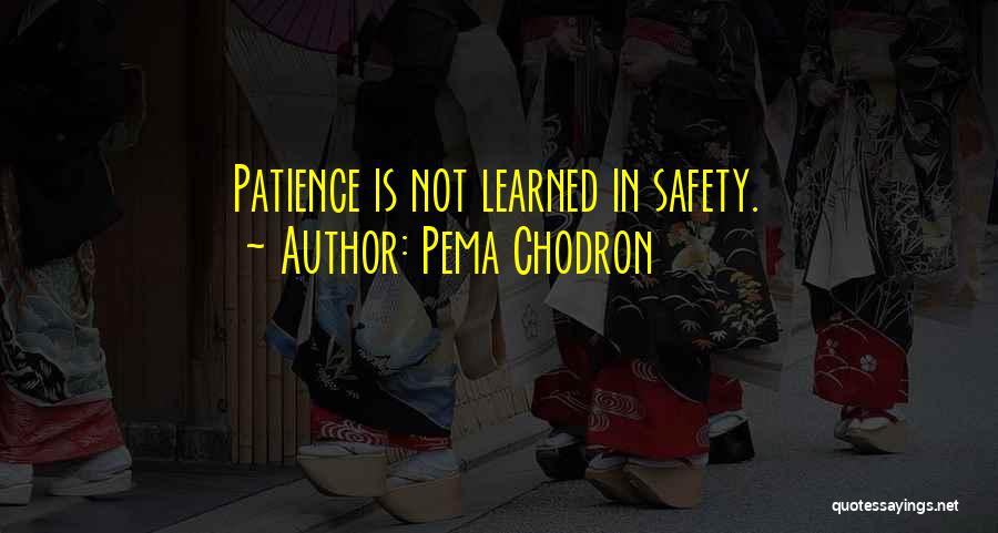 Pema Chodron Quotes: Patience Is Not Learned In Safety.