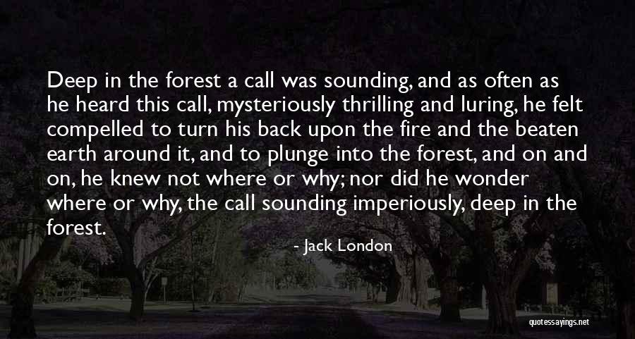 6am At The Chum Quotes By Jack London 6am At The Chum Quotes By Jack London