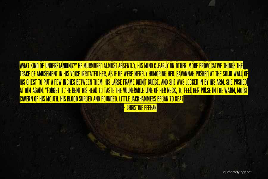 7 Inches Quotes By Christine Feehan 7 Inches Quotes By Christine Feehan