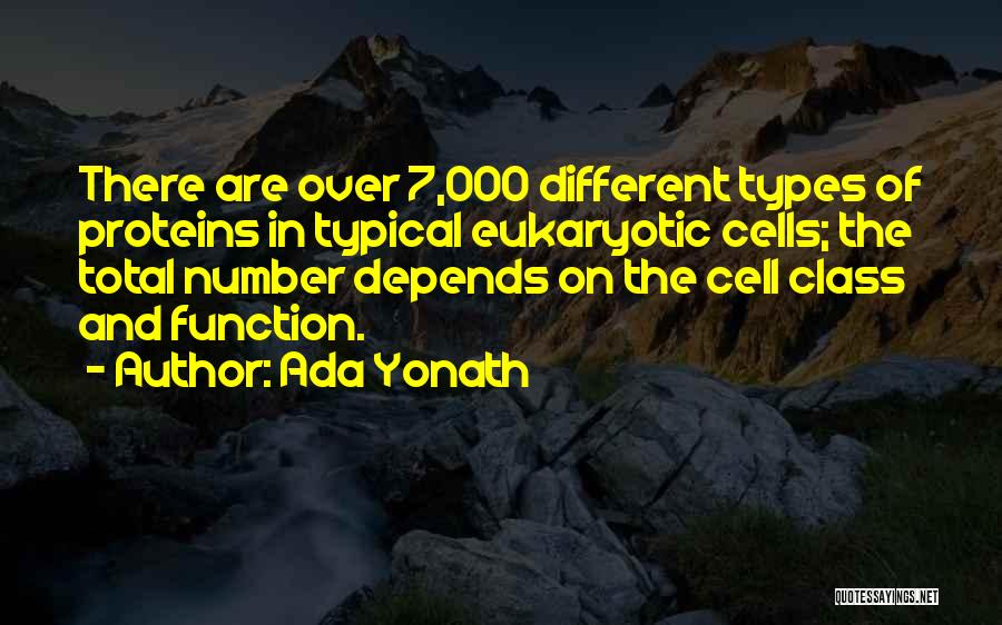 7 Number Quotes By Ada Yonath