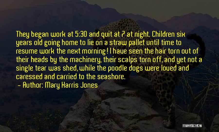 7 Years Quotes By Mary Harris Jones