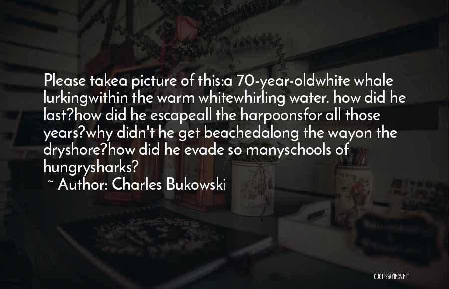 70 Years Old Quotes By Charles Bukowski