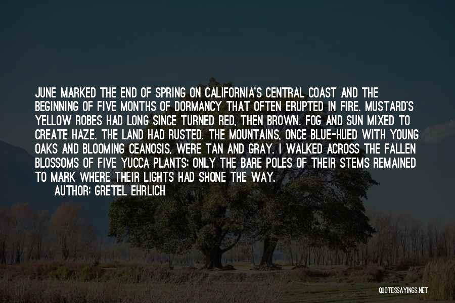 Gretel Ehrlich Quotes: June Marked The End Of Spring On California's Central Coast And The Beginning Of Five Months Of Dormancy That Often