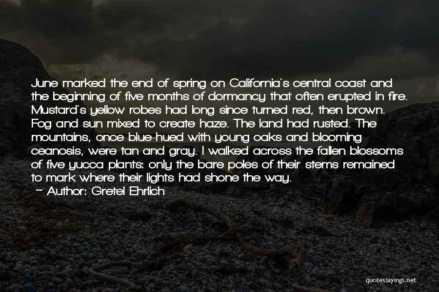 Gretel Ehrlich Quotes: June Marked The End Of Spring On California's Central Coast And The Beginning Of Five Months Of Dormancy That Often