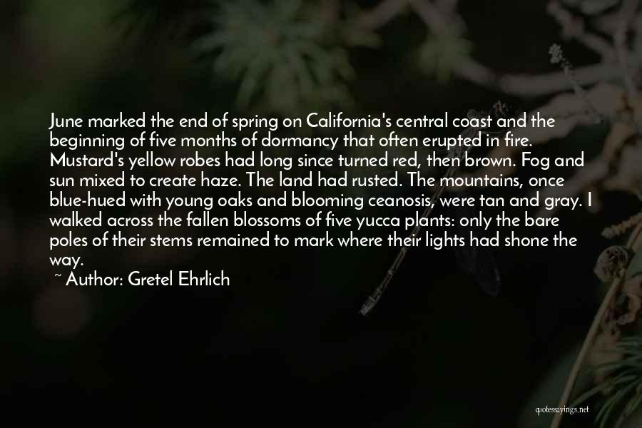 Gretel Ehrlich Quotes: June Marked The End Of Spring On California's Central Coast And The Beginning Of Five Months Of Dormancy That Often