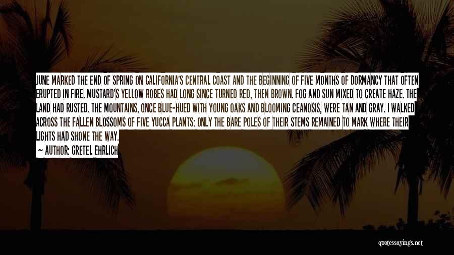 Gretel Ehrlich Quotes: June Marked The End Of Spring On California's Central Coast And The Beginning Of Five Months Of Dormancy That Often