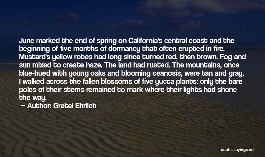 Gretel Ehrlich Quotes: June Marked The End Of Spring On California's Central Coast And The Beginning Of Five Months Of Dormancy That Often