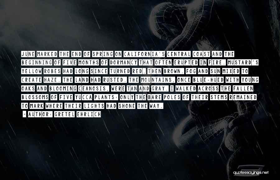 Gretel Ehrlich Quotes: June Marked The End Of Spring On California's Central Coast And The Beginning Of Five Months Of Dormancy That Often