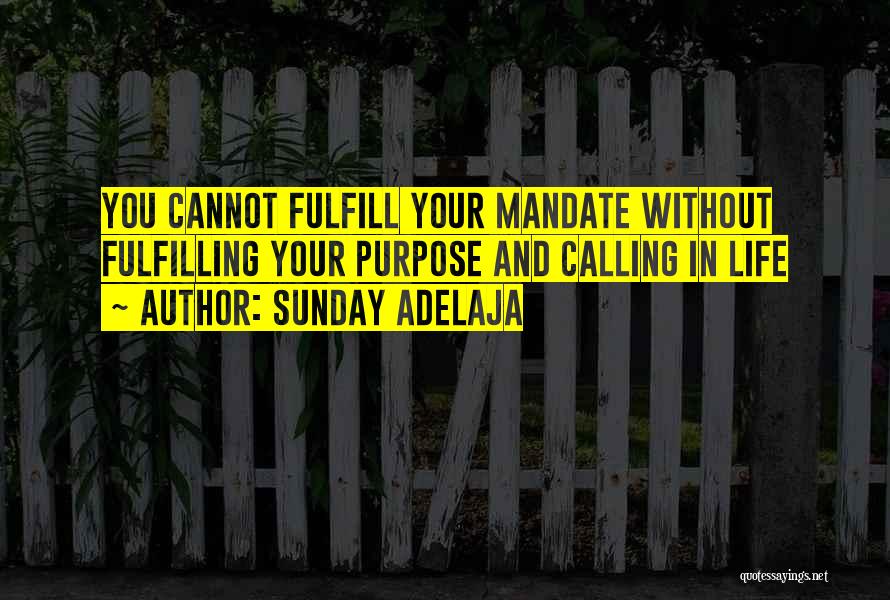 Sunday Adelaja Quotes: You Cannot Fulfill Your Mandate Without Fulfilling Your Purpose And Calling In Life