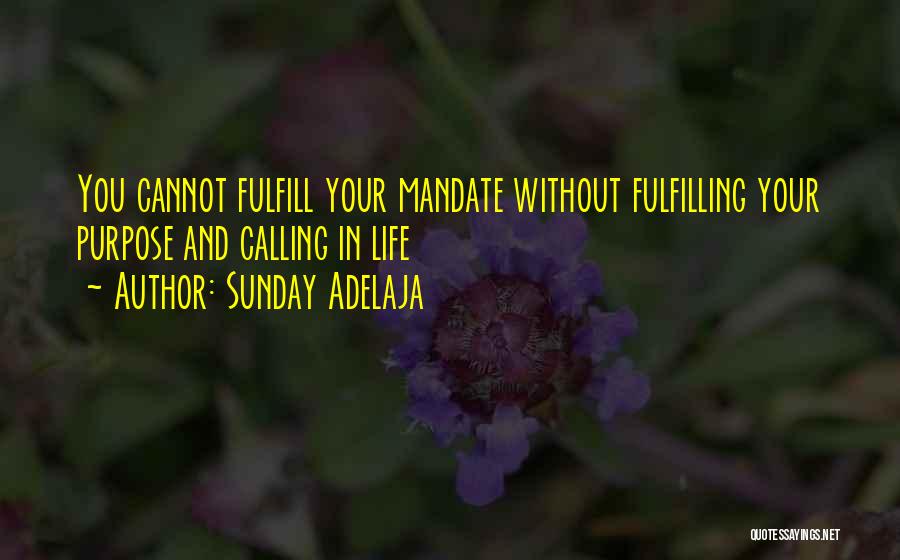 Sunday Adelaja Quotes: You Cannot Fulfill Your Mandate Without Fulfilling Your Purpose And Calling In Life