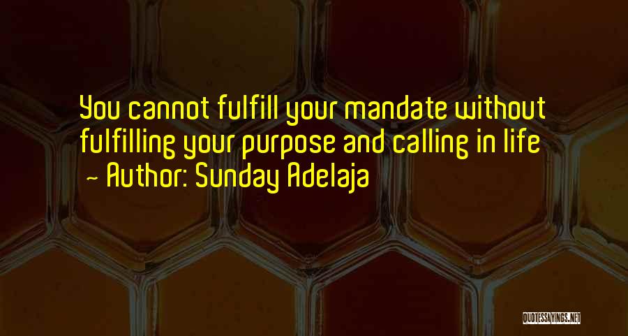 Sunday Adelaja Quotes: You Cannot Fulfill Your Mandate Without Fulfilling Your Purpose And Calling In Life