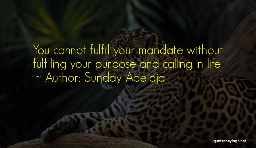 Sunday Adelaja Quotes: You Cannot Fulfill Your Mandate Without Fulfilling Your Purpose And Calling In Life