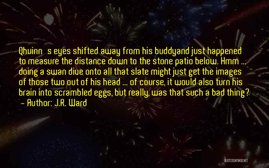 J.R. Ward Quotes: Qhuinn's Eyes Shifted Away From His Buddyand Just Happened To Measure The Distance Down To The Stone Patio Below. Hmm
