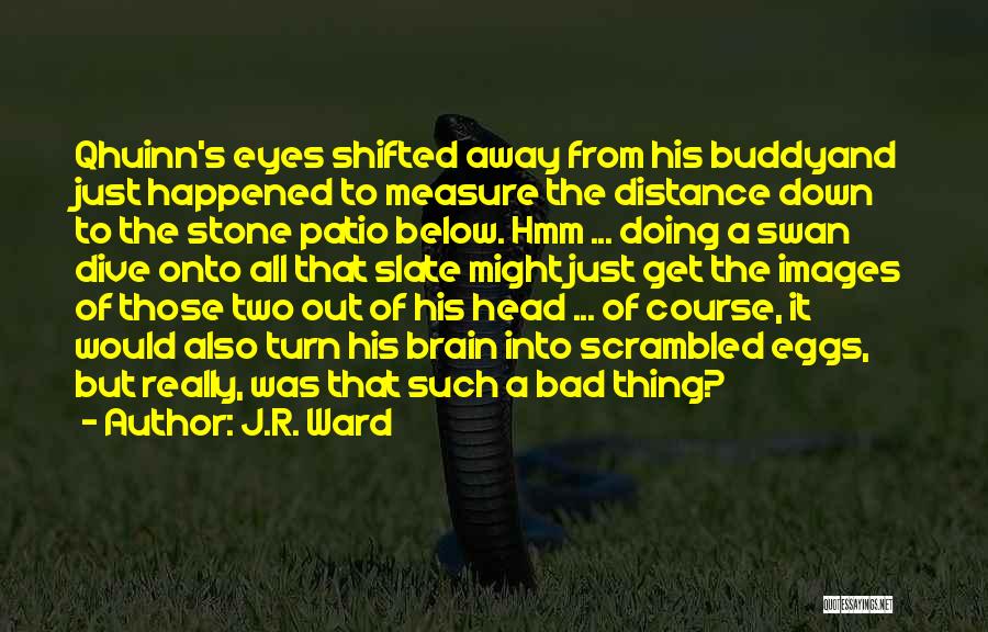 J.R. Ward Quotes: Qhuinn's Eyes Shifted Away From His Buddyand Just Happened To Measure The Distance Down To The Stone Patio Below. Hmm