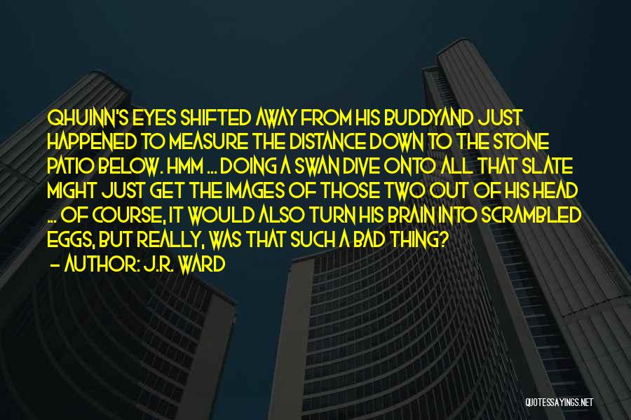 J.R. Ward Quotes: Qhuinn's Eyes Shifted Away From His Buddyand Just Happened To Measure The Distance Down To The Stone Patio Below. Hmm