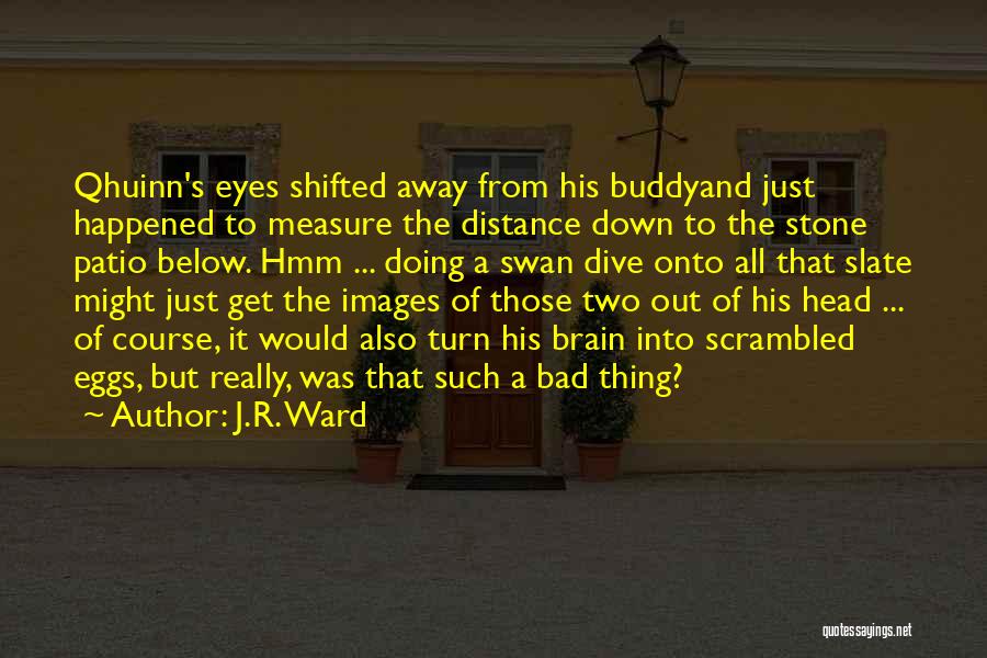 J.R. Ward Quotes: Qhuinn's Eyes Shifted Away From His Buddyand Just Happened To Measure The Distance Down To The Stone Patio Below. Hmm