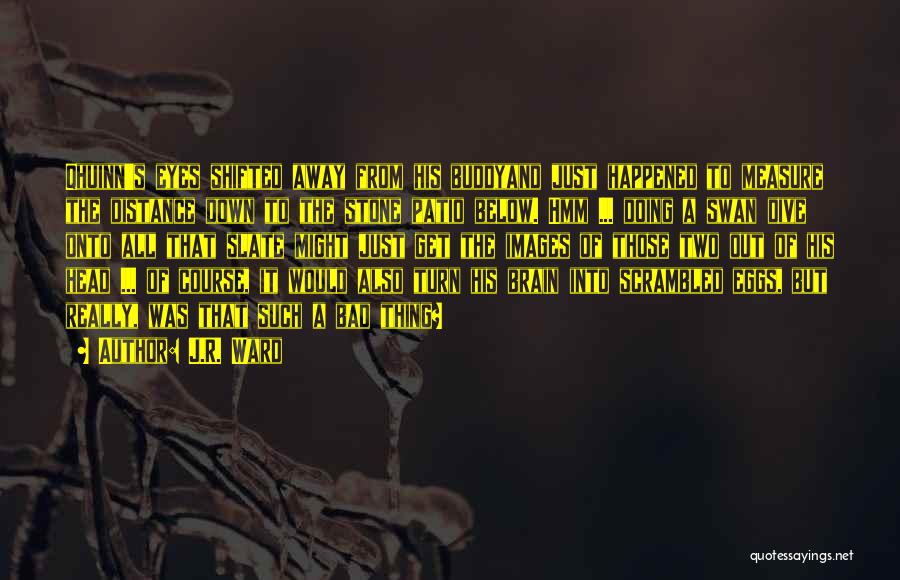 J.R. Ward Quotes: Qhuinn's Eyes Shifted Away From His Buddyand Just Happened To Measure The Distance Down To The Stone Patio Below. Hmm